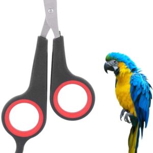 Bird Nail Clipper