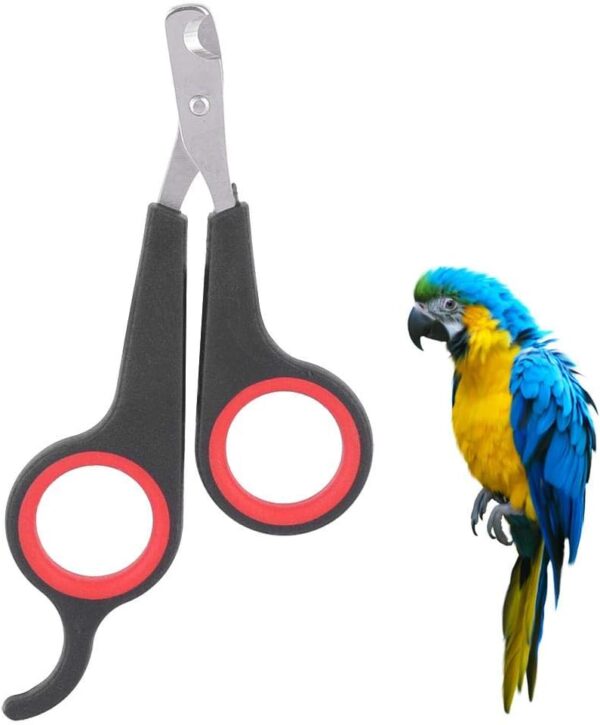 Bird Nail Clipper