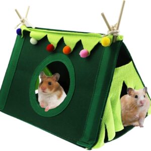 Small Animal Hideout Tunnel