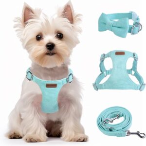 Adjustable Pet Harness for Small Dogs