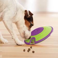 Interactive Chew Toy for Dogs